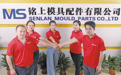Senlan Precision Parts Co.,Ltd.