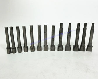 ขนาดที่กำหนดเองหล่อชิ้นส่วนแม่พิมพ์ตัดหัว Core Pin / Die Casting ส่วนประกอบ